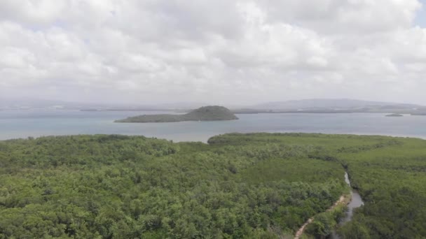 Veduta aerea laterale drone dell'isola martinica, paradiso caraibico nelle indie occidentali, cielo nuvoloso drammatico . — Video Stock