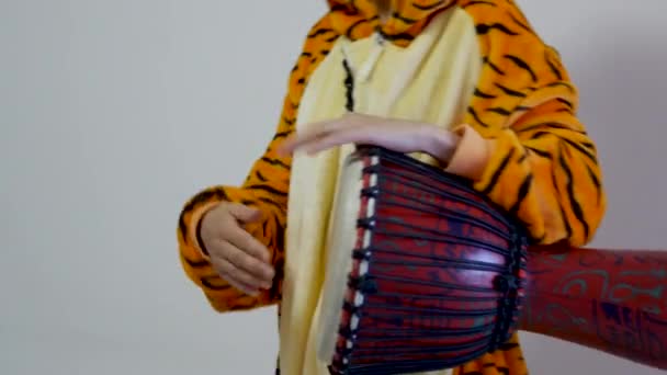Tangan seorang wanita bermain djembe dengan jubah harimau. guru untuk anak muda berpakaian untuk kelas pendidikan musik yang lucu. Profesional 4K shot of moving hands on white grey background . — Stok Video