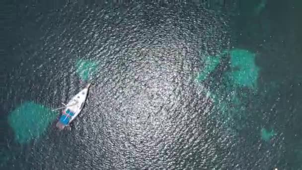 Letecký pohled na rekreační lodě rozmístěné v zálivu tropického karibiku, Martinica, Francie, 2019-19-9 — Stock video