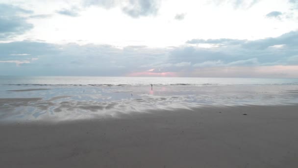 孤独な男がビーチを歩いて、歩いて、考えて、孤独の認識できないショットは、常に内部の平和、グランヴィル、 15-9-19への最良の方法です — ストック動画