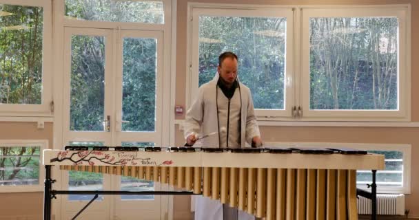 Άνδρας επαγγελματίας μουσικός παίζει λευκό όμορφο marimba ξυλόφωνο, σαφή και πράσινο φόντο. Εκπαιδευτικό κρουστό όργανο για τη νεολαία και τα παιδιά μουσική ευτυχία — Αρχείο Βίντεο