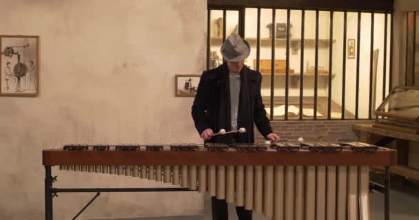 ル・マンで木琴を演奏する黒の衣装を着た男,フランス2019-4-1 — ストック動画