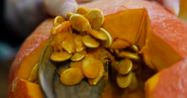 Close shot of a Jack O Lantern being prepared for Halloween, Hallowe'en (All Hallows' Eve) religious celebration — Stock Video