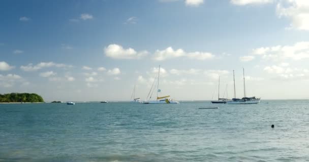 Holiday beach with boats in Caribbean french island : Guadeloupe, summer destination for family, paradise for old people during winter due to warm weather and good life conditions — Stock Video