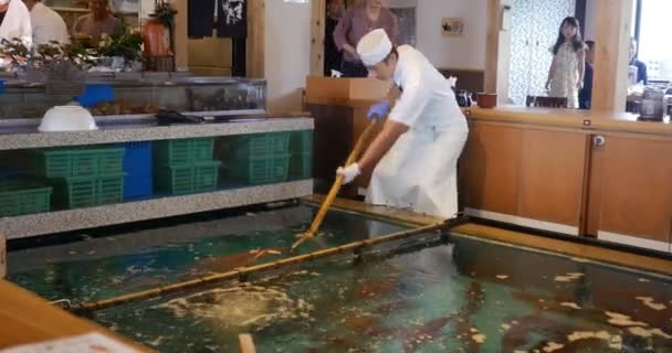 Restaurang för skaldjur i Japan - Kochi, Japan - augusti 2018 — Stockvideo