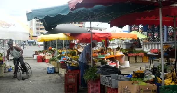 ผลไม้และผักในตลาดดั้งเดิม อาวุโสที่ทํางานร่วมกับผลิตภัณฑ์การเกษตรที่แปลกใหม่ ห้างสรรพสินค้าสาธารณะที่มีอาหารสดขายให้กับชาวบ้านและนักท่องเที่ยว — วีดีโอสต็อก
