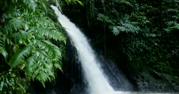 Beautiful natural cascade in Guadeloupe. fast moving cinematic shot. green exotic Caribbean scenic water fall forest. holiday famous hiking jungle beauty destination in france antilles island — Stock Video