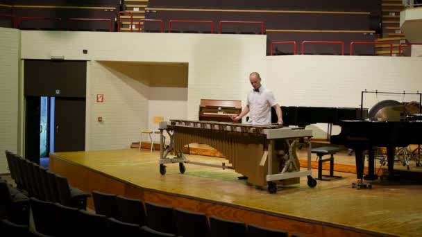 Bell Uomo Che Prova Suona Xilofono Nell Auditorium Universitario Lovanio — Video Stock