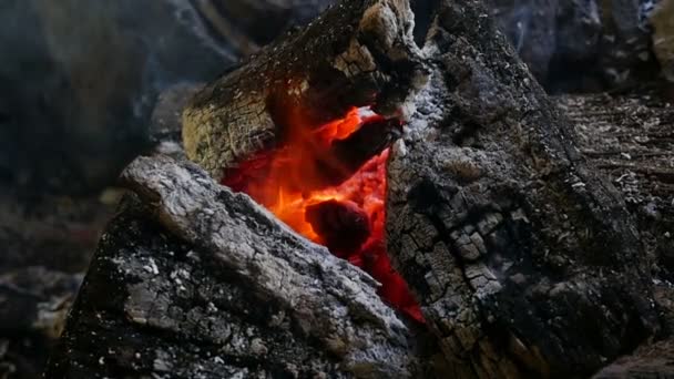 Lento Movimiento Fuego Leña — Vídeos de Stock