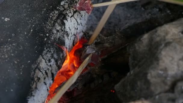 Αργή Κίνηση Του Μια Φωτιά Ξύλο Στρατόπεδο Μαγείρεμα Του Κρέατος — Αρχείο Βίντεο