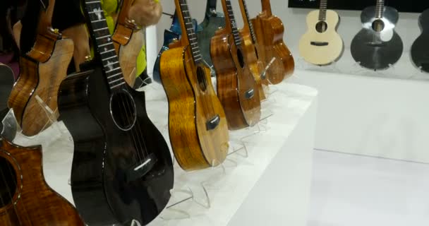 Guitars Ukulele Music China Shanghai Instrument Fair Guitar Fretted String — Stockvideo