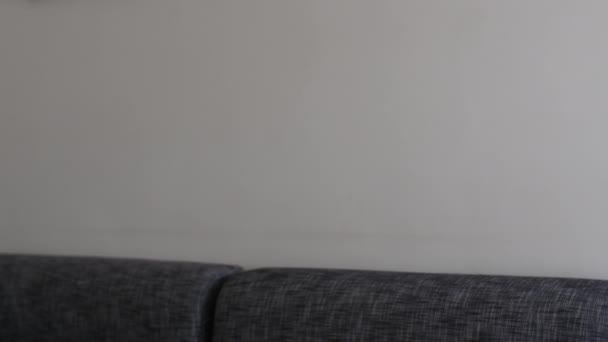 Красавчик Бородач Сидит Готовится Интервью Крутая Улыбка Профессиональной Хипстерской Стильной — стоковое видео