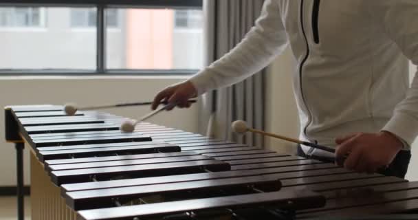 Mann Der Marimba Spielt Musik Des Lebens Musik Erleichtert Jeden — Stockvideo
