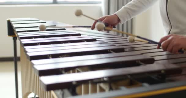 Marimba Ahşap Parmaklıklar Vuruyor Perküsyonist Müzikal Eller Tarafından Marimba Çalan — Stok video