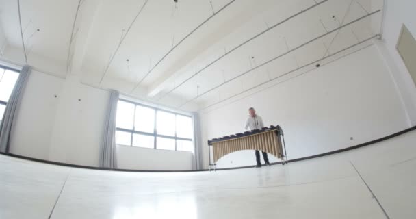 남성의 셔츠를 방에서 마림바를 연주하는 미술가 타악기 연주자의 바닥의 — 비디오