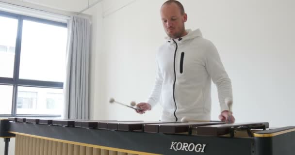 Männlicher Vorzeigemusiker Der Marimba Weißen Raum Spielt Männer Frankreich — Stockvideo