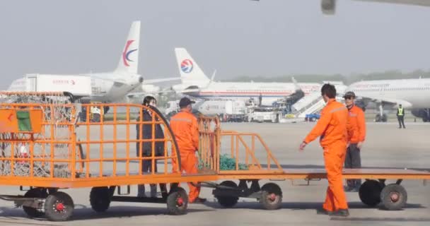 机场工作人员在跑道上 他们的老板是一位独立而坚强的领导 在中国青岛 19岁 — 图库视频影像