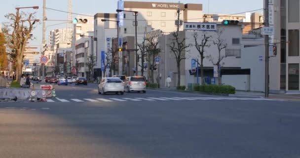 Svíčka Vinařství Rozmazané Červené Židle Pozadí Lahví Vína — Stock video