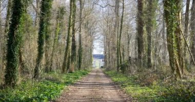 Kapısı uzakta boş bir orman. Bu ormandan kaçmak için bir yol. le lude France 1-3-19