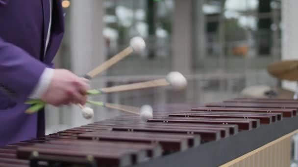 Caballero Músico Haciendo Música Toma Manos Músico Tocando Marimba Instrumento — Vídeos de Stock