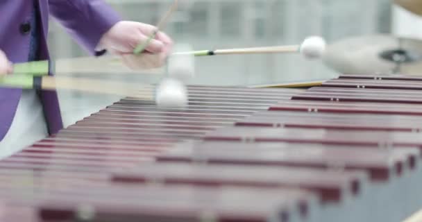 Tight Shot Keyboard Big Xylophone Named Marimba Played Handsome Gentleman — Stock Video