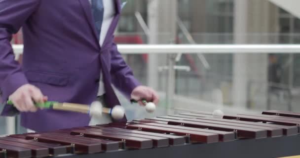マリンバで交響曲を演奏する高級タキシードスーツを着たハンサムな男 木製の打楽器 この紳士の4本の棒は美しい音楽を作っています — ストック動画