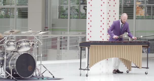 音楽を演奏するハンサムな男のミュージシャン 紫のジャケットと白いパンツを着て この優しい男はマリンバ 大きな木製の木琴を使用しています — ストック動画
