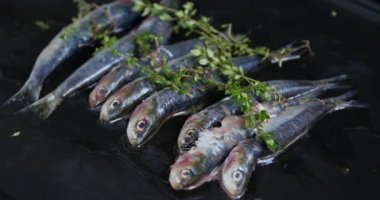 Bir tepsi sardalya (Sardina pilchardus) ızgarada kömürle kavrulmuş. Beyaz tabakta taze ızgara sardalya. Beyaz arka plan. Tipik Akdeniz mutfağı. Akdeniz gastronomisi.