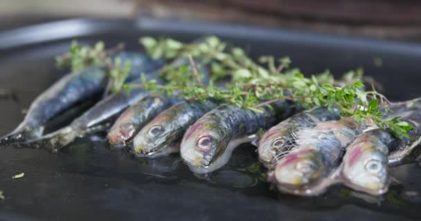 Grillade sardiner med tillsats av färska örter, citron och kryddor på en träbakgrund. Grillade skaldjur, grill — Stockvideo