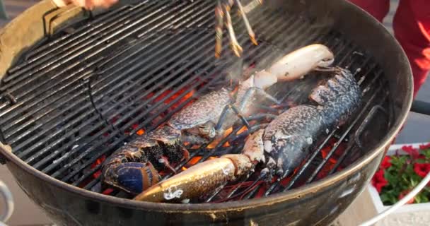 Cuisson chaude et pétillante sur la plaque chauffante. Délicieux homard grillé en deux avec du beurre. Homard ou écrevisse frais, juteux et savoureux bleu français. — Video