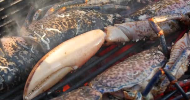 Aragoste arrostite su una griglia. blu francese Aragosta grigliate barbecue cotto a vapore Piatto di pesce barbecue Sfondo — Video Stock