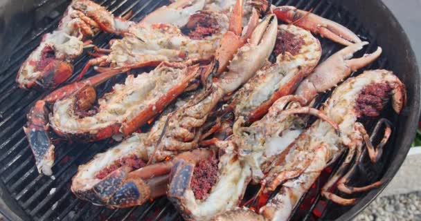 Stock video van chef-kok koken de bbq zeevruchten op het strand voor het diner deel, geroosterde zeevruchten partij, gegrilde kreeft kok op houtskool kachel — Stockvideo