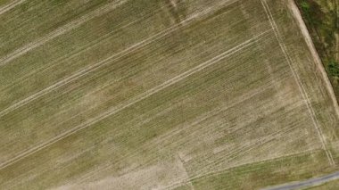 Tarlaların havadan görüntüsü, endüstriyel tarım