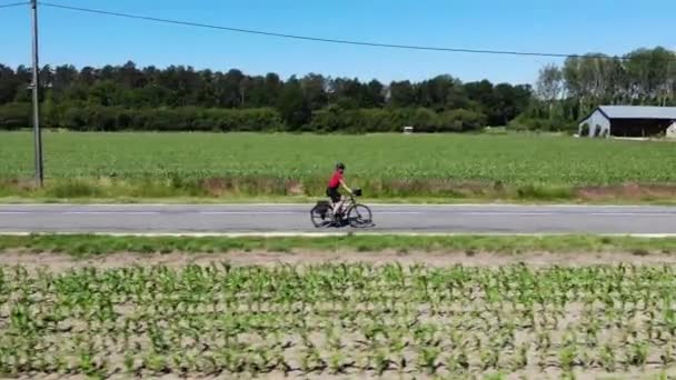 Epische luchtfoto drone beelden van professionele fietser rijden over prachtige landelijke weg tussen velden en bos. — Stockvideo