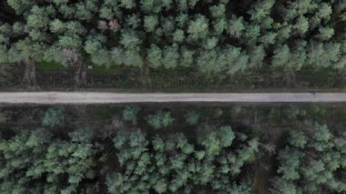 Ormanda yol. Ormanın muhteşem hava manzarası çok güzel şekiller yaratıyor. Yaz zamanı. Tarlada bisiklet süren bisikletçilerin hava manzarası. Çakıl taşı bisikleti süren bir bisikletçiyi kovalamak toz kaldırmaktır..