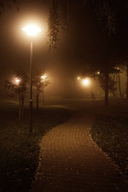 Sonbahar. Bir gece, Letonya parkta ışıklı yol görünümünü