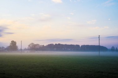 Letonya renkli bahar gündoğumu. Sabah sis altında yeşil ülke alanının bir görünüm