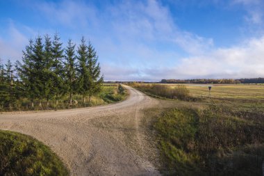 Köy yolunda bir görünümünü güneşli bir günde, Letonya