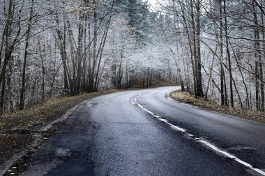 Köy yolunda arasında buz gibi ağaçlar, Letonya