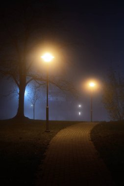 Sonbahar. Bir gece, Letonya parkta ışıklı yol görünümünü