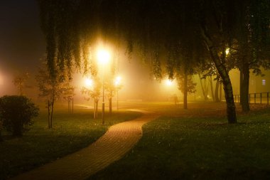 Sonbahar. Bir gece, Letonya parkta ışıklı yol görünümünü