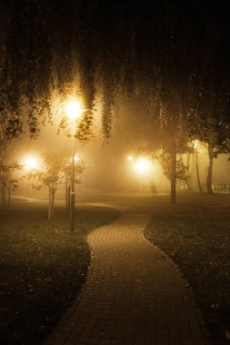 Sonbahar. Bir gece, Letonya parkta ışıklı yol görünümünü