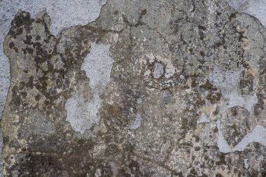 Bir eski duvar doku yakın, Letonya