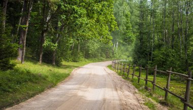 Ülke yolun yeşil orman yoluyla bir görünüm bir gün güneşli yaz, Letonya
