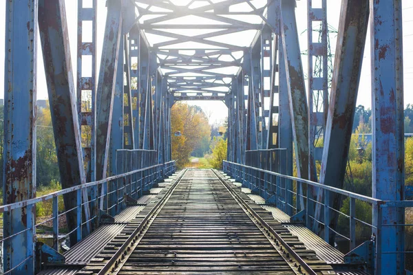 Ponte Foresta Dorata Lettonia — Foto Stock