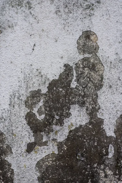Bir Eski Duvar Doku Yakın Letonya — Stok fotoğraf