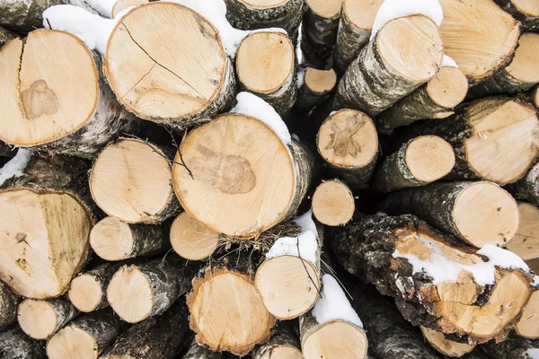 冬の森 ラトビアの薪 — ストック写真
