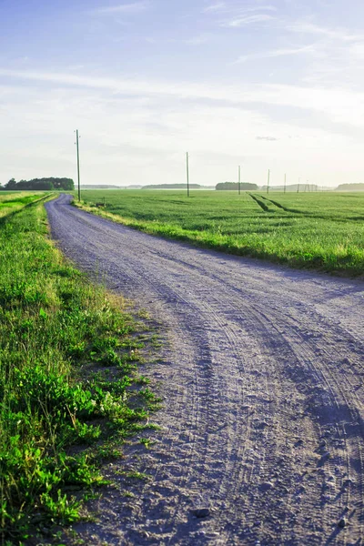 Una Vista Carretera Través Del Campo Agrícola Del País Verde —  Fotos de Stock