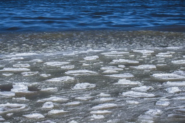 氷のバルト海 ラトビアの水地衣類片々 — ストック写真