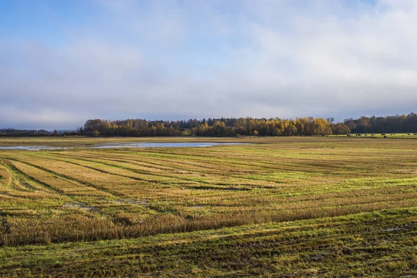 Une Vue Sur Champ Campagne Automne Sous Ciel Bleu Nuageux — Photo